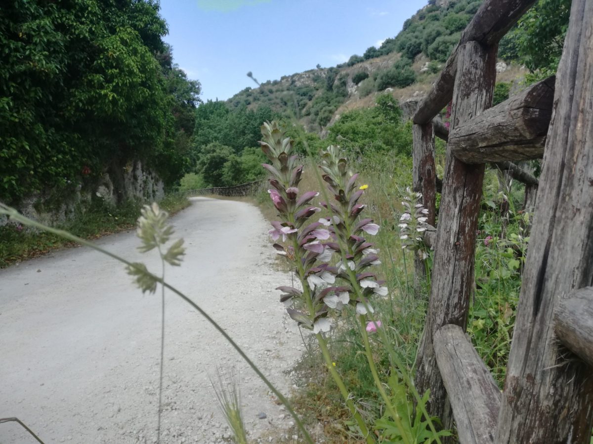 Riserve naturali in Sicilia