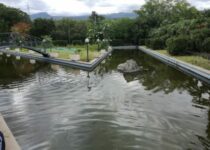 Parco Chico Mendes