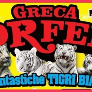 Circo Greca Orfei catania 2021