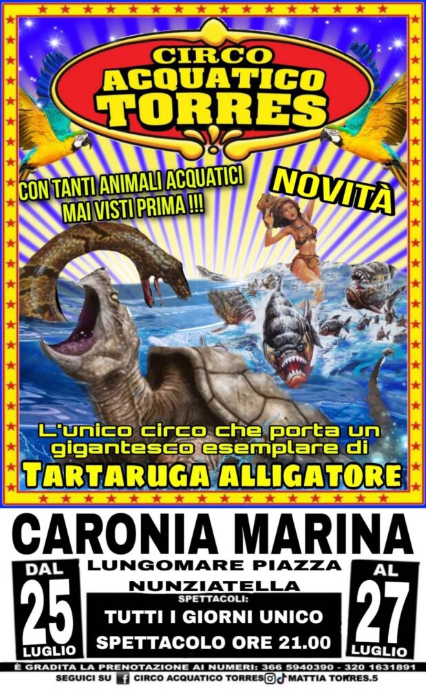 Torres a Caronia Marina