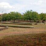 Parco Borsellino